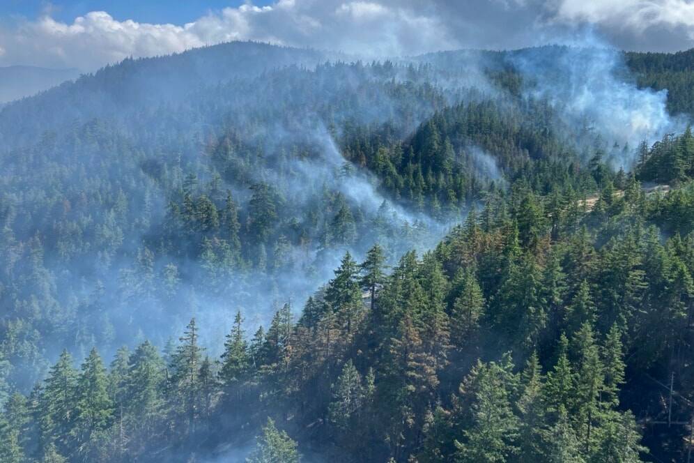 B . C . putting limits on community FireSmart program as funds begin to run dry