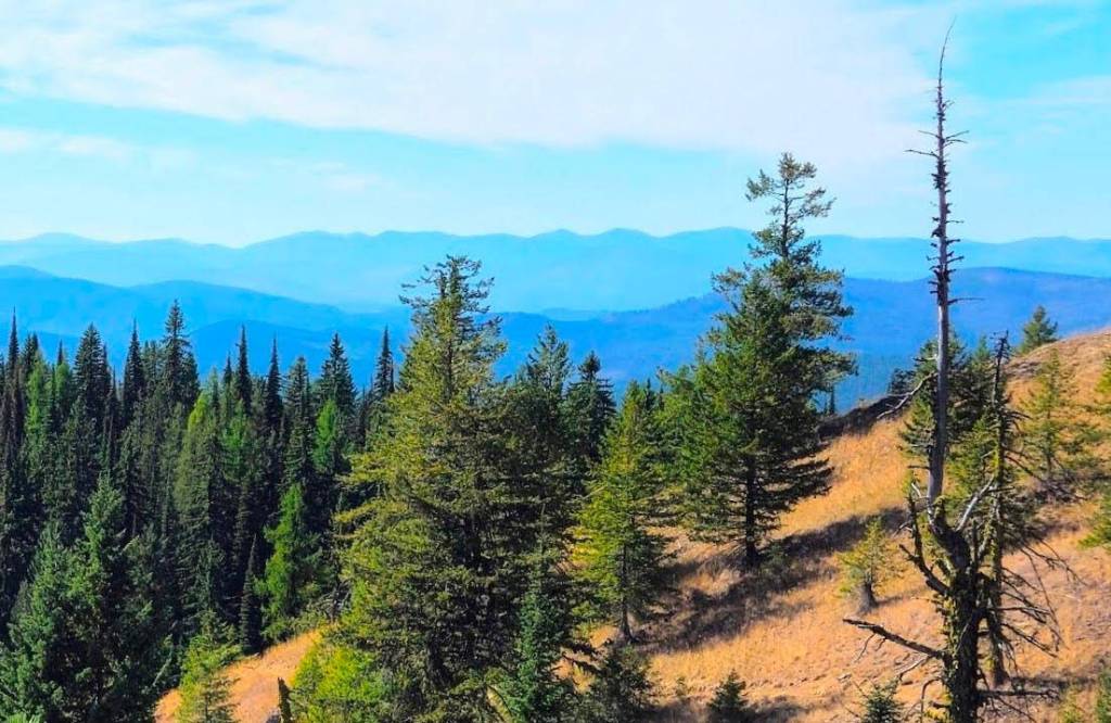 B.C. court to hear Save Record Ridge Mine application in Rossland